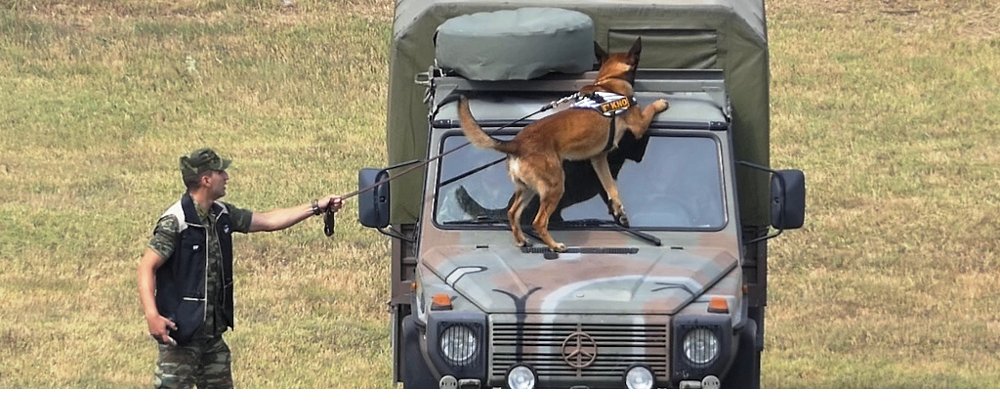 Άσκηση για πρώτη φορά από τη Μεραρχία Υποστήριξης με Στρατιωτικούς Σκύλους